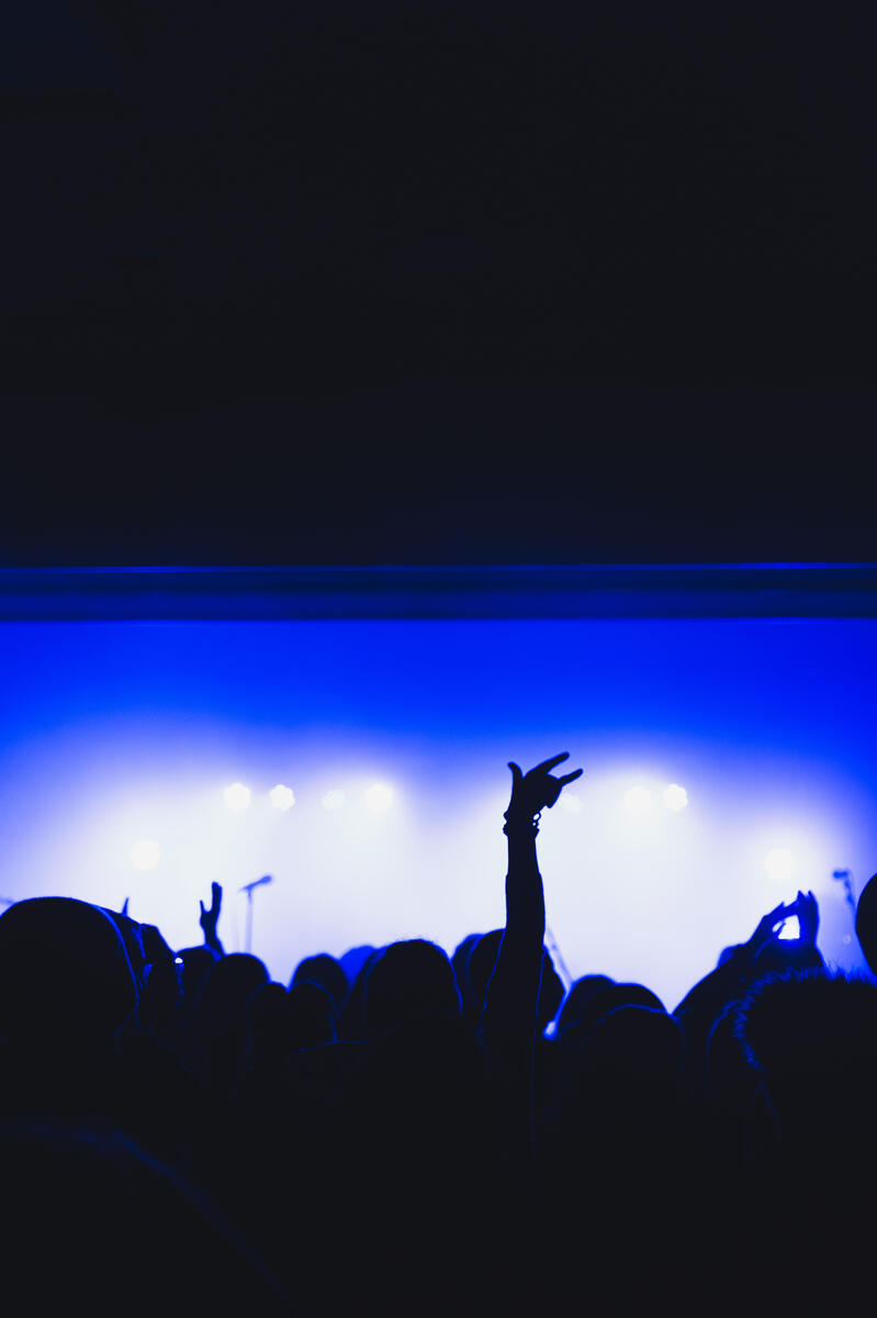 Colour photo of concert hands from fan in audience. Member of crowd is performing the rock on hand symbol
